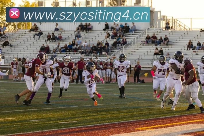 数据防护可视化